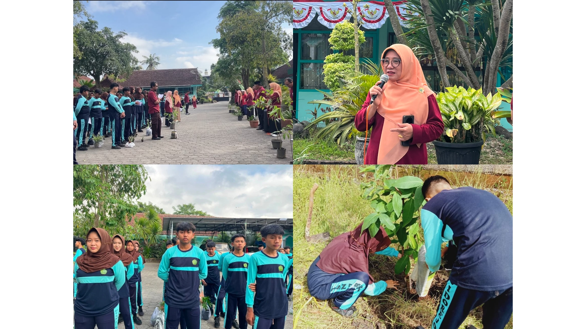 Wujudkan Lingkungan Hijau, Seluruh Warga MTsN 7 Banyuwangi Aksi Bersih-Bersih dan Tanam 300 Pohon